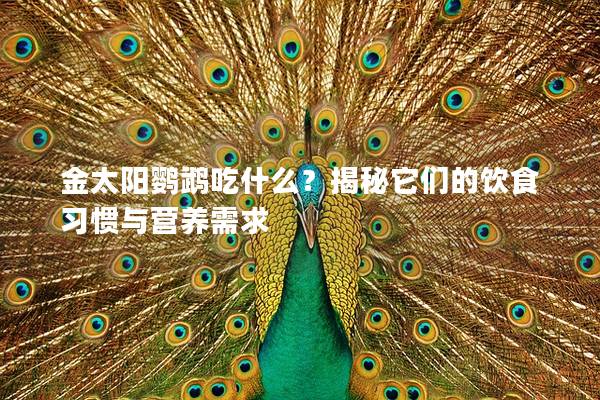 金太阳鹦鹉吃什么？揭秘它们的饮食习惯与营养需求