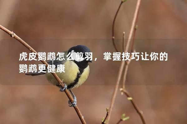 虎皮鹦鹉怎么剪羽，掌握技巧让你的鹦鹉更健康