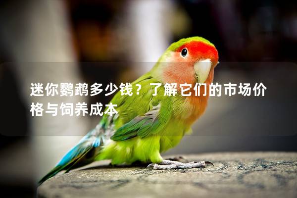 迷你鹦鹉多少钱？了解它们的市场价格与饲养成本