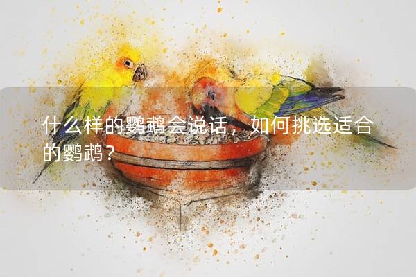 什么样的鹦鹉会说话，如何挑选适合的鹦鹉？