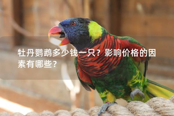 牡丹鹦鹉多少钱一只？影响价格的因素有哪些？