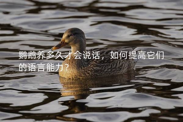 鹦鹉养多久才会说话，如何提高它们的语言能力？