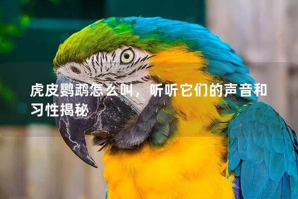 虎皮鹦鹉怎么叫，听听它们的声音和习性揭秘