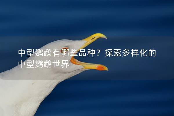 中型鹦鹉有哪些品种？探索多样化的中型鹦鹉世界