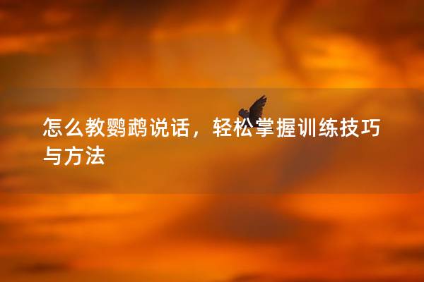 怎么教鹦鹉说话，轻松掌握训练技巧与方法