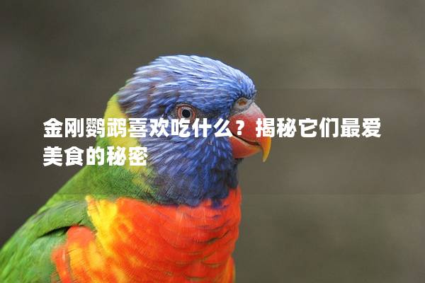 金刚鹦鹉喜欢吃什么？揭秘它们最爱美食的秘密