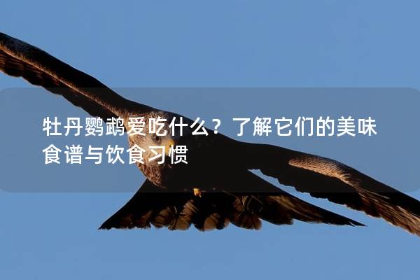 牡丹鹦鹉爱吃什么？了解它们的美味食谱与饮食习惯