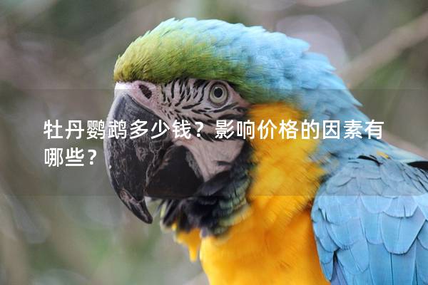 牡丹鹦鹉多少钱？影响价格的因素有哪些？