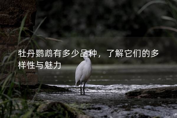牡丹鹦鹉有多少品种，了解它们的多样性与魅力
