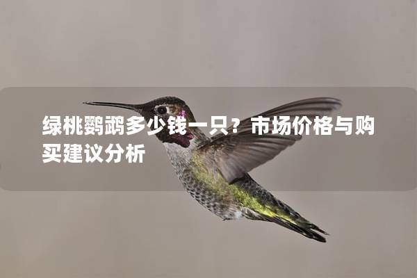 绿桃鹦鹉多少钱一只？市场价格与购买建议分析