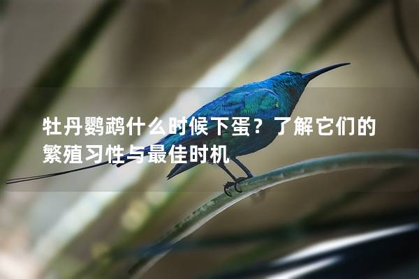 牡丹鹦鹉什么时候下蛋？了解它们的繁殖习性与最佳时机
