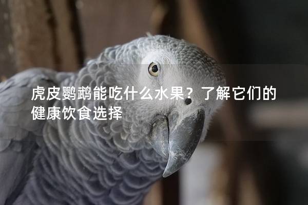 虎皮鹦鹉能吃什么水果？了解它们的健康饮食选择