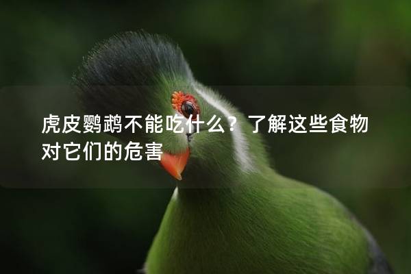 虎皮鹦鹉不能吃什么？了解这些食物对它们的危害