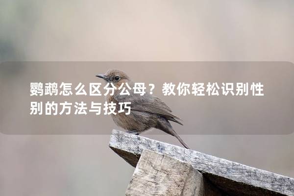 鹦鹉怎么区分公母？教你轻松识别性别的方法与技巧