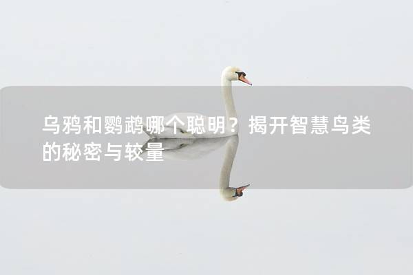 乌鸦和鹦鹉哪个聪明？揭开智慧鸟类的秘密与较量