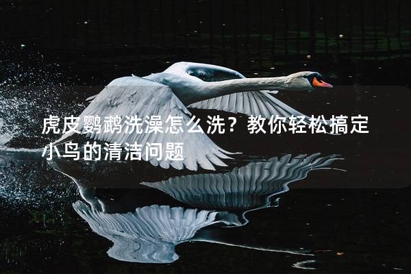 虎皮鹦鹉洗澡怎么洗？教你轻松搞定小鸟的清洁问题