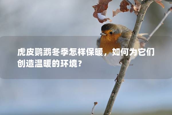 虎皮鹦鹉冬季怎样保暖，如何为它们创造温暖的环境？