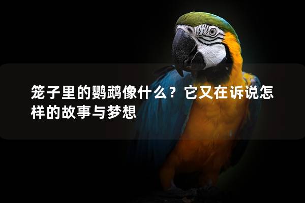 笼子里的鹦鹉像什么？它又在诉说怎样的故事与梦想