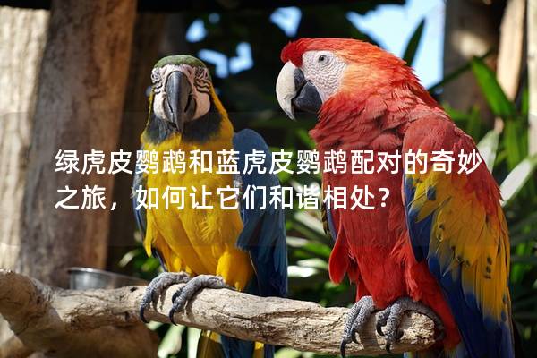 绿虎皮鹦鹉和蓝虎皮鹦鹉配对的奇妙之旅，如何让它们和谐相处？