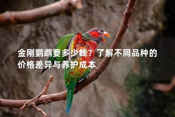 金刚鹦鹉要多少钱？了解不同品种的价格差异与养护成本