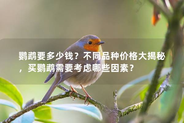 鹦鹉要多少钱？不同品种价格大揭秘，买鹦鹉需要考虑哪些因素？