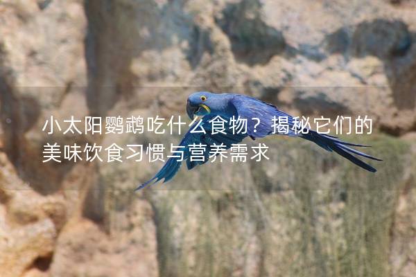 小太阳鹦鹉吃什么食物？揭秘它们的美味饮食习惯与营养需求