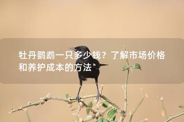 牡丹鹦鹉一只多少钱？了解市场价格和养护成本的方法