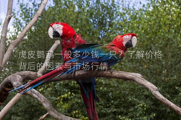 虎皮鹦鹉一般多少钱一只？了解价格背后的因素与市场行情