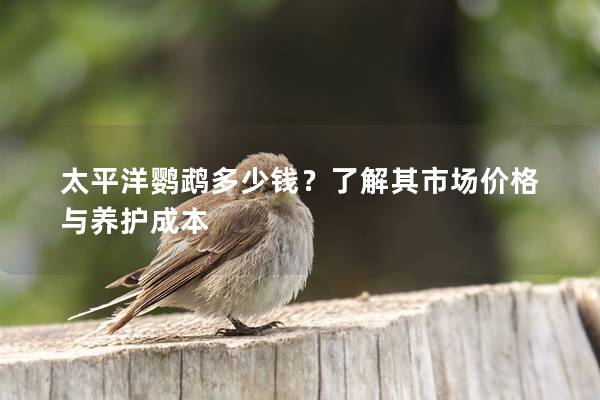 太平洋鹦鹉多少钱？了解其市场价格与养护成本
