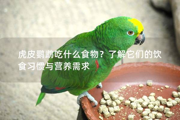 虎皮鹦鹉吃什么食物？了解它们的饮食习惯与营养需求