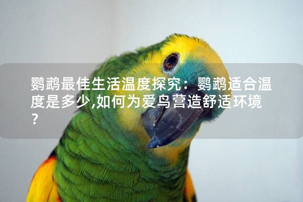 鹦鹉最佳生活温度探究：鹦鹉适合温度是多少,如何为爱鸟营造舒适环境？