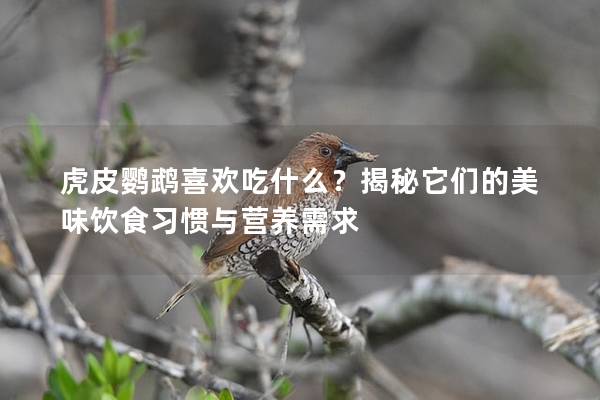 虎皮鹦鹉喜欢吃什么？揭秘它们的美味饮食习惯与营养需求