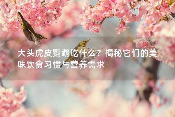 大头虎皮鹦鹉吃什么？揭秘它们的美味饮食习惯与营养需求