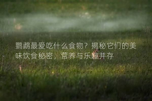 鹦鹉最爱吃什么食物？揭秘它们的美味饮食秘密，营养与乐趣并存