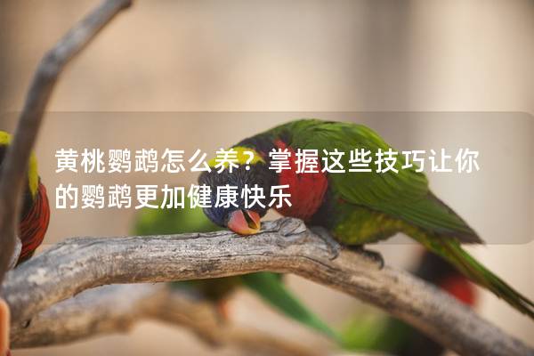 黄桃鹦鹉怎么养？掌握这些技巧让你的鹦鹉更加健康快乐