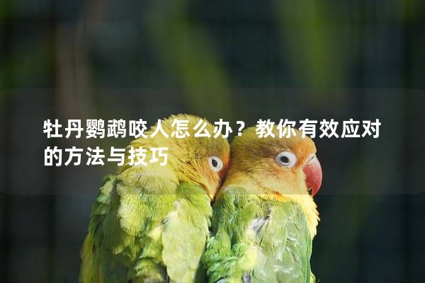 牡丹鹦鹉咬人怎么办？教你有效应对的方法与技巧