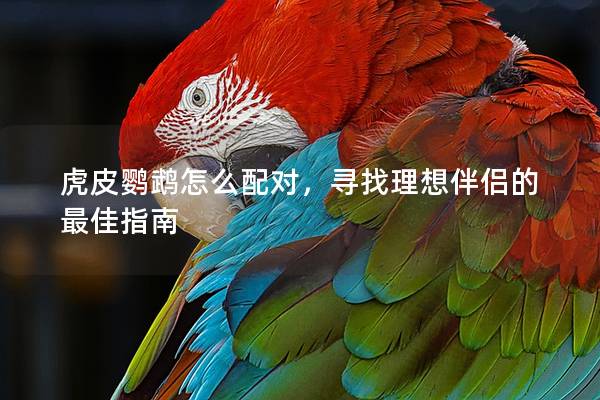 虎皮鹦鹉怎么配对，寻找理想伴侣的最佳指南
