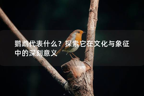 鹦鹉代表什么？探索它在文化与象征中的深刻意义