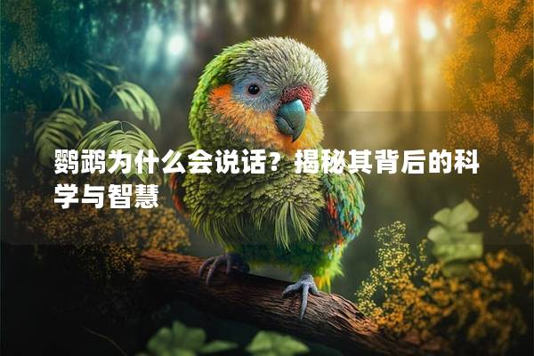 鹦鹉为什么会说话？揭秘其背后的科学与智慧