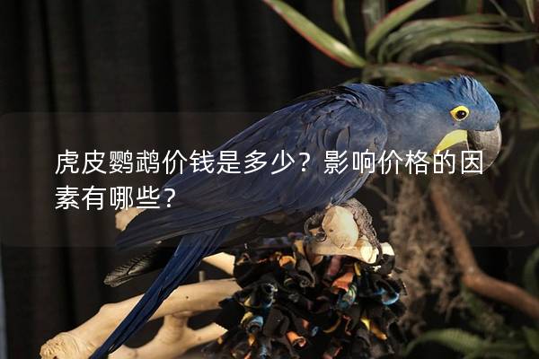 虎皮鹦鹉价钱是多少？影响价格的因素有哪些？