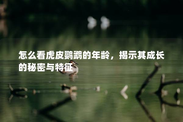 怎么看虎皮鹦鹉的年龄，揭示其成长的秘密与特征