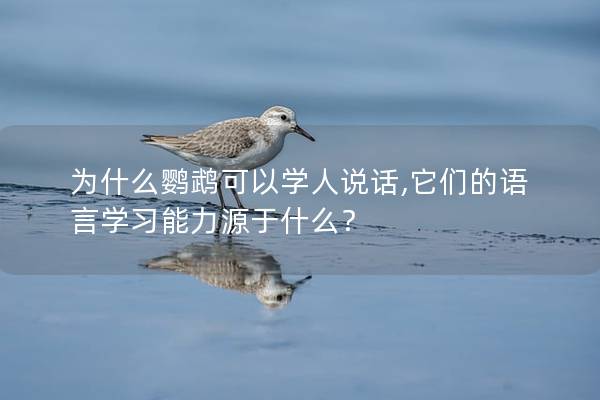 为什么鹦鹉可以学人说话,它们的语言学习能力源于什么？