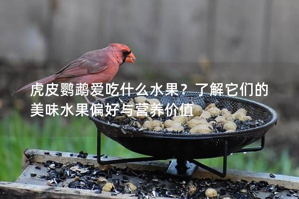 虎皮鹦鹉爱吃什么水果？了解它们的美味水果偏好与营养价值