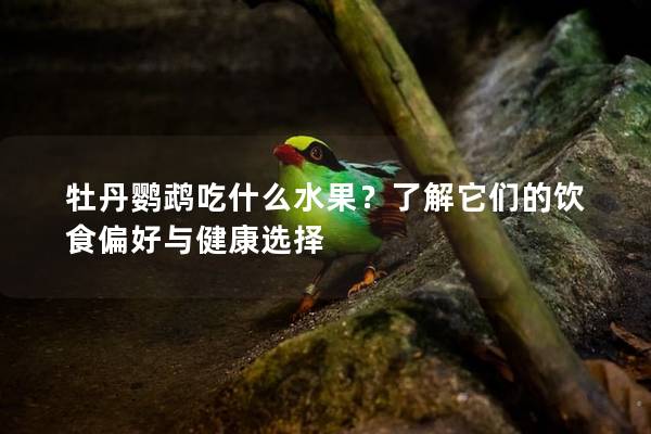 牡丹鹦鹉吃什么水果？了解它们的饮食偏好与健康选择