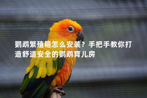 鹦鹉繁殖箱怎么安装？手把手教你打造舒适安全的鹦鹉育儿房