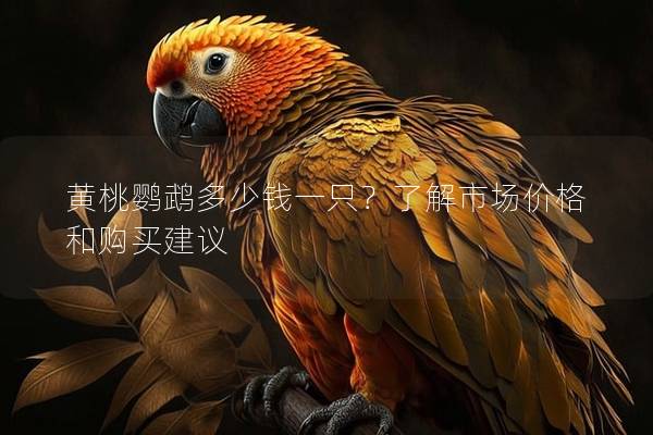 黄桃鹦鹉多少钱一只？了解市场价格和购买建议