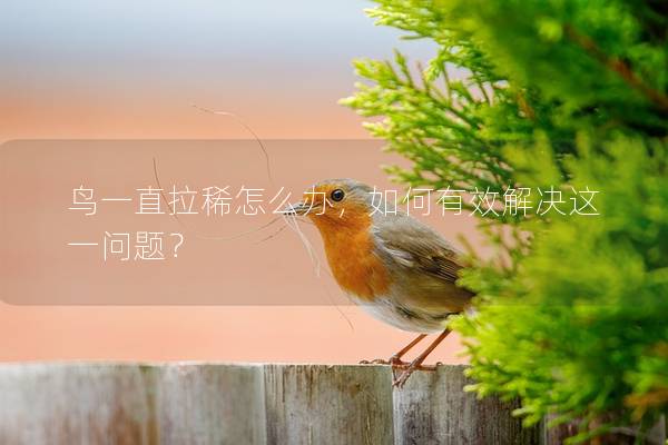 鸟一直拉稀怎么办，如何有效解决这一问题？