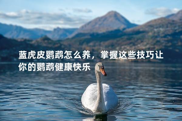 蓝虎皮鹦鹉怎么养，掌握这些技巧让你的鹦鹉健康快乐