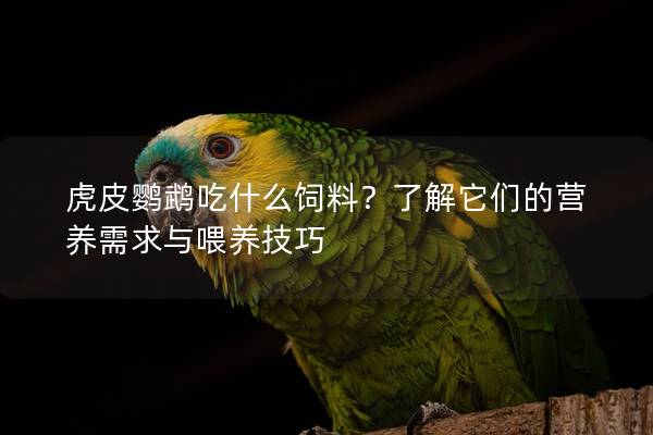 虎皮鹦鹉吃什么饲料？了解它们的营养需求与喂养技巧
