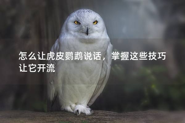 怎么让虎皮鹦鹉说话，掌握这些技巧让它开流
